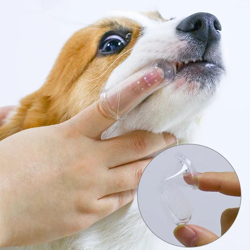 Escova de Dentes para Pets – Cuide do sorriso do seu amigo de quatro patas com carinho e praticidade!